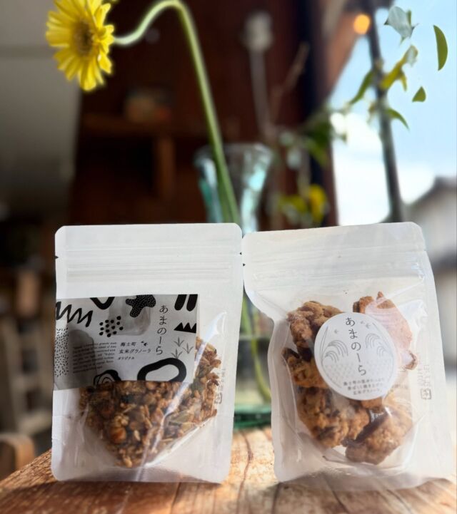 森山窯 ポット | 隠岐の島 京見屋分店 ～お土産・贈り物・島根の
