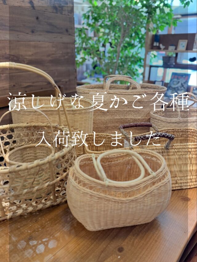 なぎ 聖誕 Tシャツ&ポーチ enjoi OKI Tshat 再入荷のおしらせ | 隠岐の島 京見屋分店 ～お