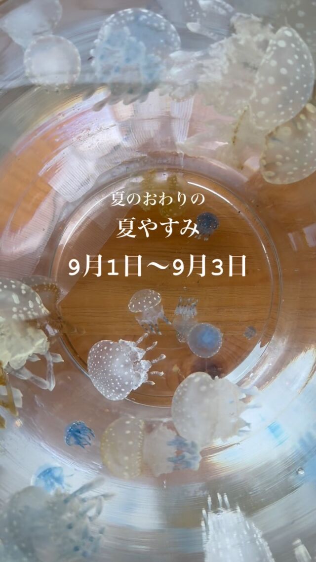 出西窯 饅頭蒸し器 | 隠岐の島 京見屋分店 ～お土産・贈り物・島根の器